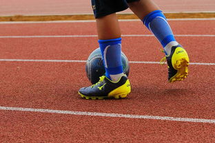 牙买加打造国际运动新品牌，牙买加运动项目