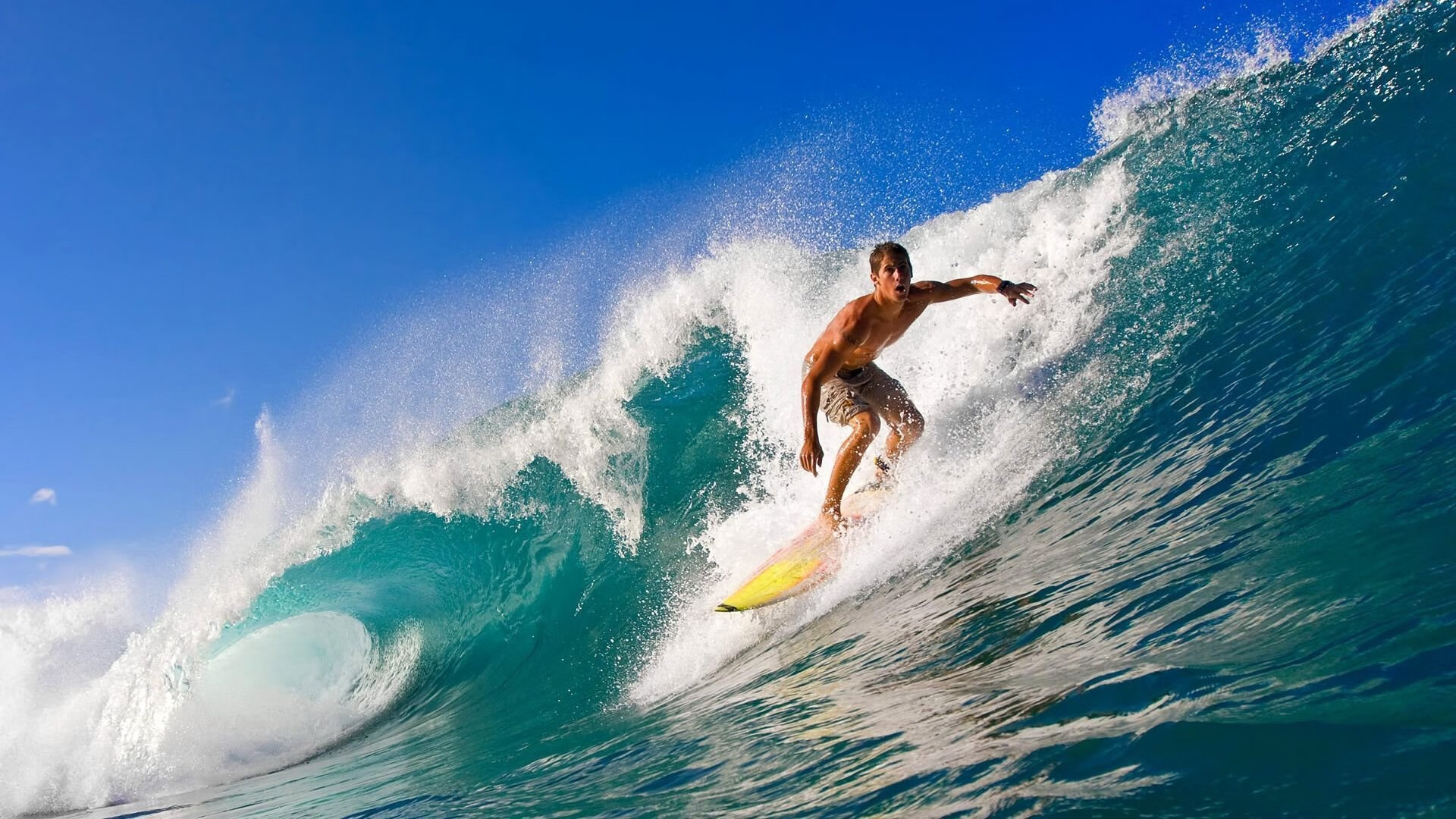 中国反倾销调查瞄准碧根果，涉两国出口，碧根果收购商